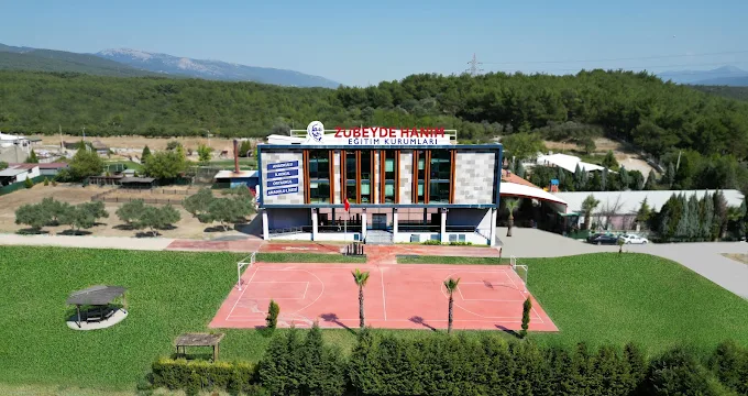 Gençlik Festivali Nedir?